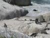 Boulder beach