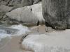 Boulder Beach