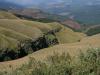 Long Tom Pass