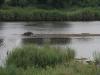 Kruger3