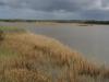 Estuaire