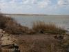 Estuaire