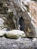 Rock Hopper Penguin