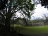Les ruines de Copan