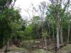 Les ruines de Copan