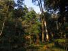 Biotope au petit matin