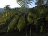 biotope au petit matin