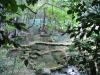 La riviere