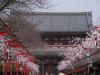 Karrimon temple