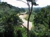 Jungle depuis le Canopy