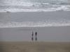 les surfeurs de retour