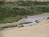 Dunes de Te Paki