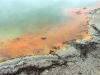 champagne Pool - Detail