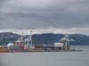 Wellington -port