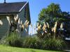 Havelock - YHA ecole