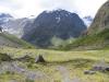 Homer Saddle - Homer Track