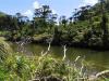 Riviere Pokairi