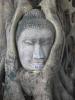 Ayutthaya - bouddha