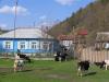Autre aspect du Baikal et de ses habitants